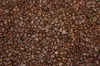 KOPI LUWAK Arabika Aceh Gayo - kawa ziarnista 200 g Podgląd zdjęcia produktu 3
