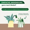 Florfliegenlarven gegen Blattläuse und Thripse - 5 Träger Produktbild-Vorschau 2