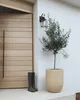 BELIANI Blumentopf Hellbeige Lehm-Faser-Mischung Rund Produktbild-Vorschau 4