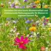 Miscela di fiori per prato per api Greenyp I 100g per 100m² Anteprima dell’immagine prodotto 6