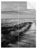 Duschrückwand Strand selbstklebend - 0.61 mm Wandpaneel Produktbild-Vorschau 2