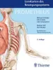 PROMETHEUS LernKarten des Bewegungssystems Produktbild-Vorschau 3