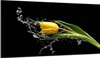 Glas-Herdplattenschutz 90x52 Tulpe Produktbild-Vorschau 1