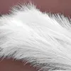 Künstliche Pampasgras,Kunstpflanze, 8Pcs 80cm, Flauschig Produktbild-Vorschau 4