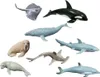 Miniland Figuren Von Meerestieren 8 Einheiten Mehrfarbig  Produktbild-Vorschau 4