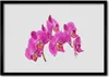 Bild 70x50 MDF-Rahmen Wandkunst Orchideen-Blumen-Natur Produktbild-Vorschau 1