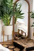 A mirror reflecting a bedroom scene with plants and rugs. Anteprima dell’immagine prodotto