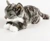 A plush cat toy lying down on a white background. Produktbild-Vorschau