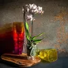 KADAX Blumentopf Orchidee quadratisch 12 cm PS rosa Produktbild-Vorschau 4