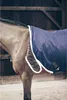 A horse wearing a blue rug in a stable. Produktbild-Vorschau