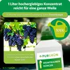 Purgrün -Weintrauben-Dünger 1 Liter Produktbild-Vorschau 4