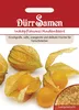 Inkapflaume | Inkapflaumensamen von Dürr Samen Produktbild-Vorschau 3