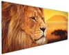 Wallario Küchenrückwand aus Glas, Größe: 125 x 50 cm, Produktbild-Vorschau 1