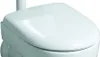A close-up view of a white toilet seat. Anteprima dell’immagine prodotto