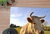 MuchoWow® Mauspad Mousepad Kuh - Bauernhof - Natur 23x19 cm Produktbild-Vorschau 2