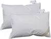 2 Stück Betten Hofmann Pusta Kopfkissen Kuschelkissen Produktbild-Vorschau 1