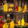 A collage of four images showing small glass bottles filled with colorful liquids, along with lemons and oranges, arranged on a rustic wooden surface with straw and moss. Produktbild-Vorschau