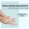 PARSA Beauty Essential Nagelbürste Breit in Transparent, Produktbild-Vorschau 3