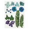 Creativ Company Trockenblumen und Blätter blau Bastelset 19 Produktbild-Vorschau 1