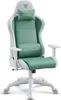 A white and green gaming chair is shown against a white background. Produktbild-Vorschau