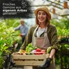A woman in a greenhouse holding a crate of fresh vegetables. Produktbild-Vorschau
