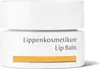 Dr.Hauschka Balsam do pielęgnacji ust, 4.5 ml Náhľad obrázku produktu 4