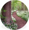 MuchoWow® Rundes Wandbild - Runde Bilder Wald - Weg - Produktbild-Vorschau 1