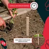 KOTARBAU® 10er Set Pflanzstäbe 30cm Tomaten & Gurken Produktbild-Vorschau 8