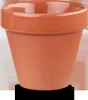 CHURCHILL Bit On The Side Blumentopf, Inhalt: 0,483 Liter, Produktbild-Vorschau 5
