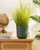 HowHomely | Pflanzkübel Aloe Texelle - 19,5 cm - Grüner Produktbild-Vorschau 4
