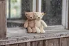 Steiff 067174 Soft Cuddly Friends Medvídek Tommy, plyš, 20 Náhled obrázku produktu 5