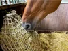 Rete di alimentazione lenta per fieno 25 kg (spessore 5 mm, Anteprima dell’immagine prodotto 3