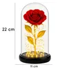 Rose éternelle en dôme de verre avec lumière LED | Fleur de Voir les images du produit 11