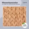 Lycce Katzenbett Wand | Kletterwand Katzen | Katzenmulde Produktbild-Vorschau 11