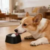 Distributeur de nourriture pour chiens, avec base Voir les images du produit 4