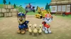 The image shows characters from the PAW Patrol franchise in a rural setting with farm elements and vehicles. Produktbild-Vorschau
