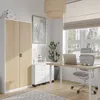 A modern office interior with a desk, chair, cabinet, and plants. Voir les images du produit