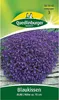 Blaukissen 'Blau' Quedlinburger Blumensamen Produktbild-Vorschau 4