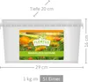 Ringelblumen Mischung | Blumenwiese von FLORTUS, Menge:1 kg Produktbild-Vorschau 7