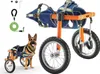 A German Shepherd dog is shown wearing a blue and orange dog wheelchair. The wheelchair has two large wheels and two smaller wheels. A green leash is also visible. Produktbild-Vorschau