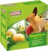 Kaiser Spezial Backset Ostern, Osterlamm + Osterhase Produktbild-Vorschau 3