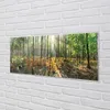 Glasbilder 125x50 Wandkunst Wald Birke Produktbild-Vorschau 2