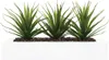 Atmosphera créateur d'intérieur umìlá aloe vera 3 kusy. Náhled obrázku produktu 3