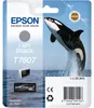 Epson T7607 Light Black, Schwarz, Tinte auf Pigmentbasis, Produktbild-Vorschau 1