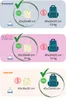 Collage showing airline baggage allowances for Ryanair, Wizz Air, and EasyJet. Podgląd zdjęcia produktu