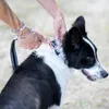 BedDog Hundeleine WILLY verstellbar in 3 Längen Führleine, Produktbild-Vorschau 5