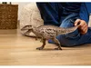Carcharodontosauro Anteprima dell’immagine prodotto 2