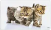 Lavagna decorativa Kesper, motivo "Gatto", melamina, Anteprima dell’immagine prodotto 4