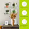 ARTland Leinwandbilder Set, 4tlg. Lavendel, Rosmarin, Produktbild-Vorschau 3