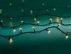 Lumineo Lichterkette Basic 360 LED 27 m klassisch warm, Produktbild-Vorschau 2